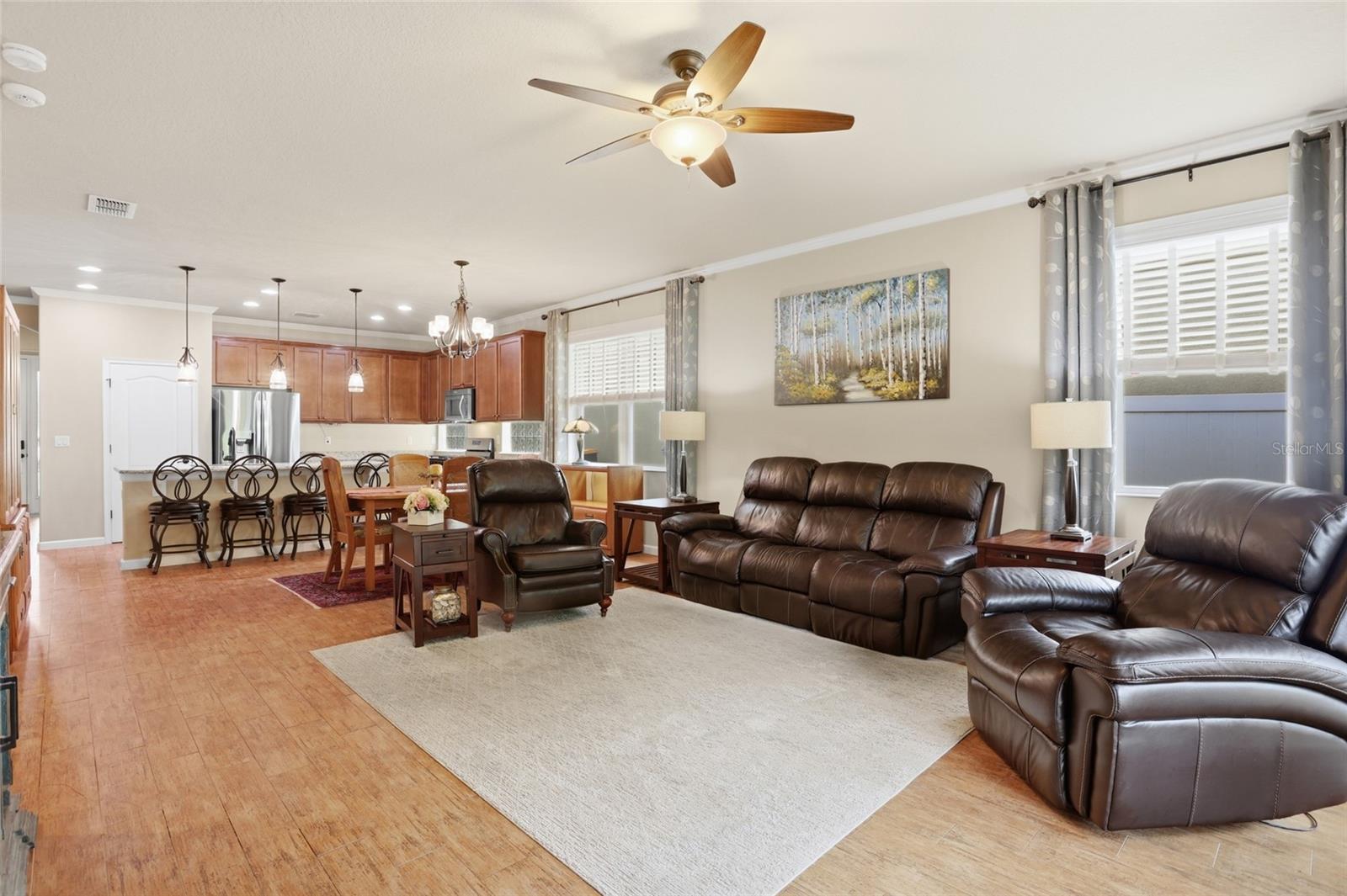 877 HARING LANE, MOUNT DORA, FL, 32757