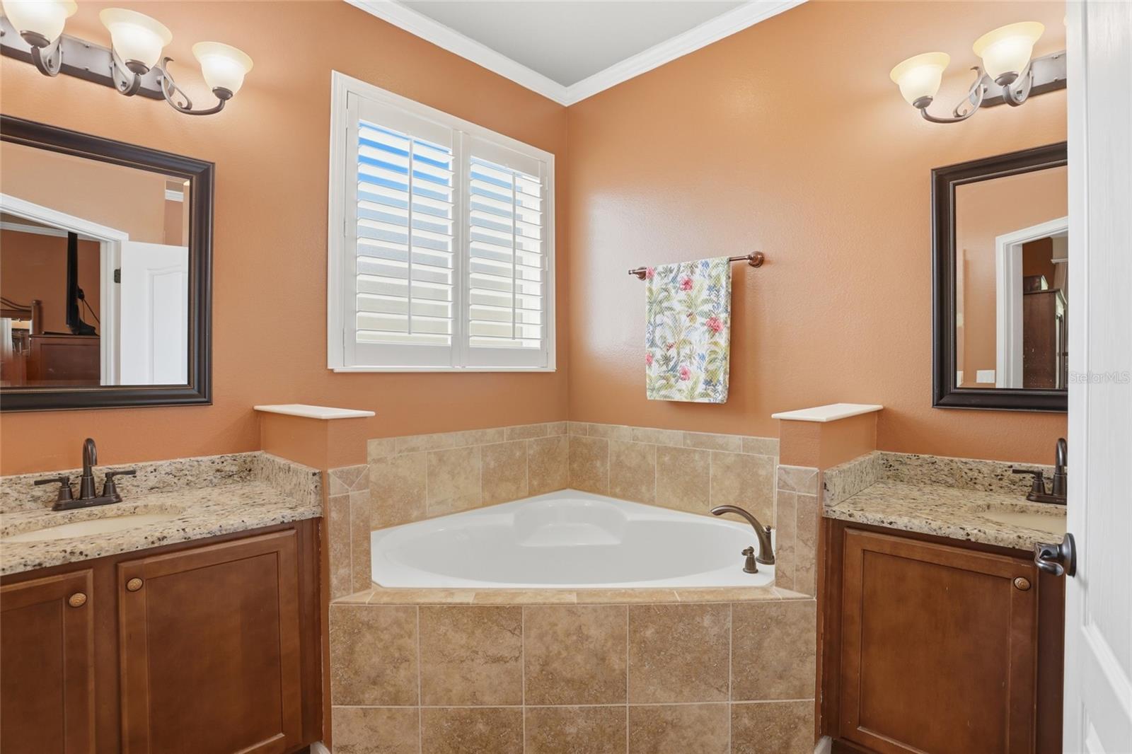 877 HARING LANE, MOUNT DORA, FL, 32757