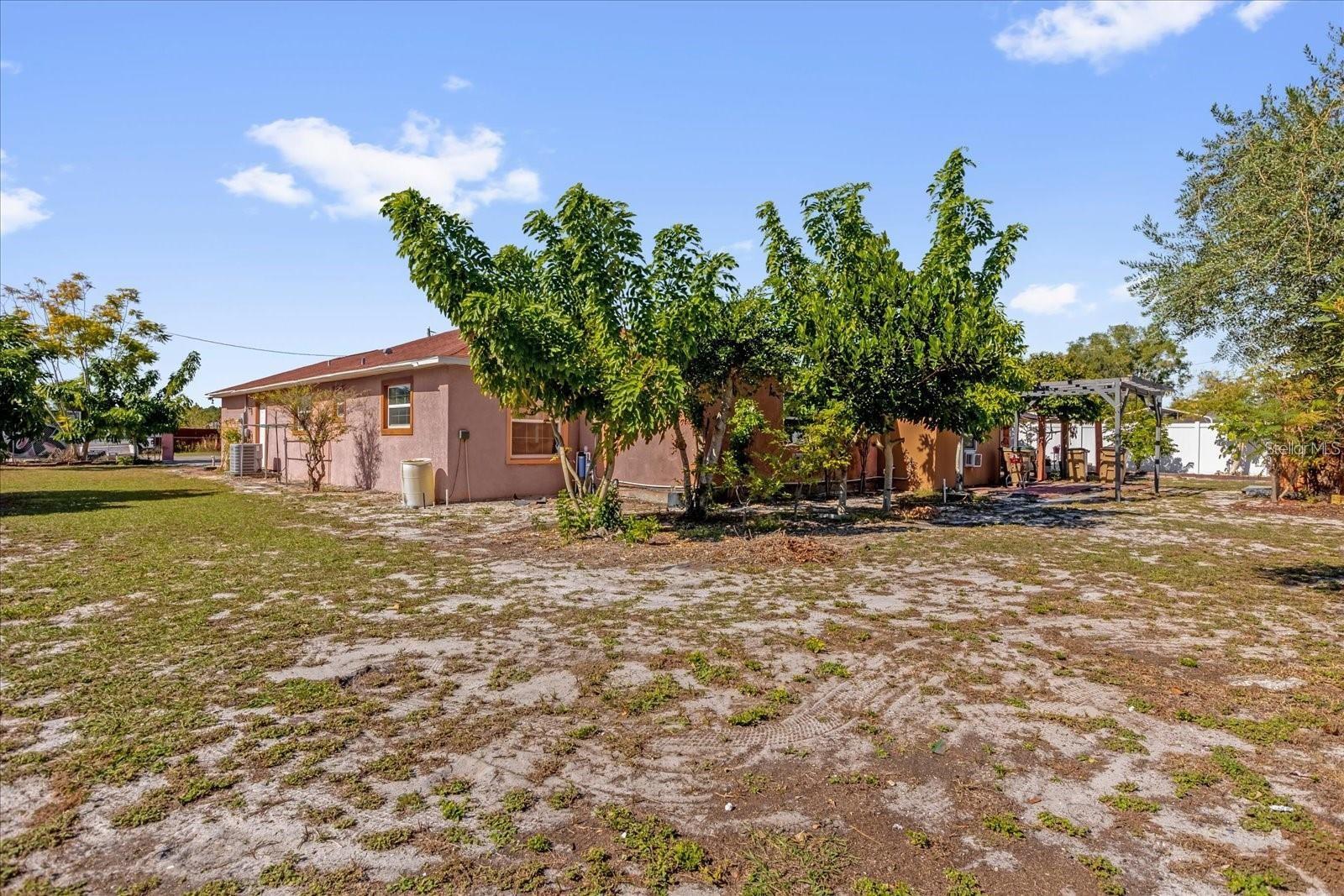 910 W RICH DR, MOUNT DORA, FL, 32757