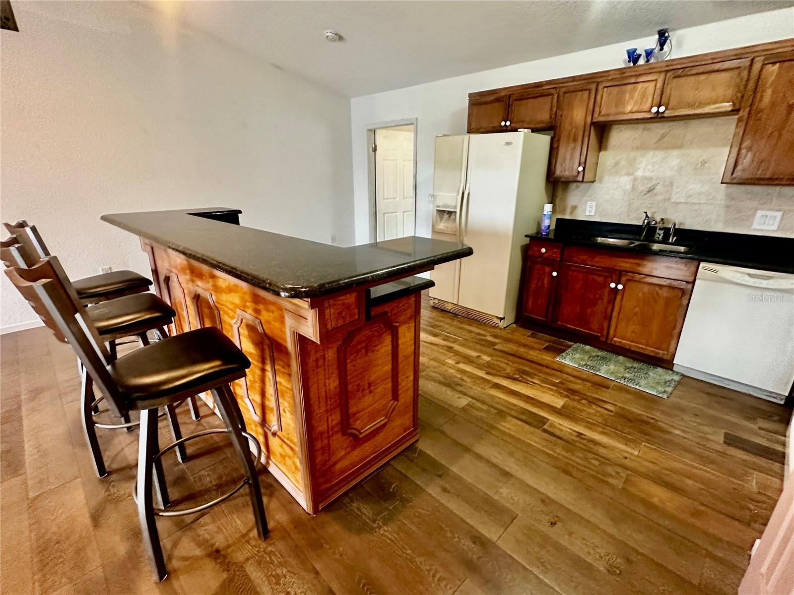 910 W RICH DR, MOUNT DORA, FL, 32757