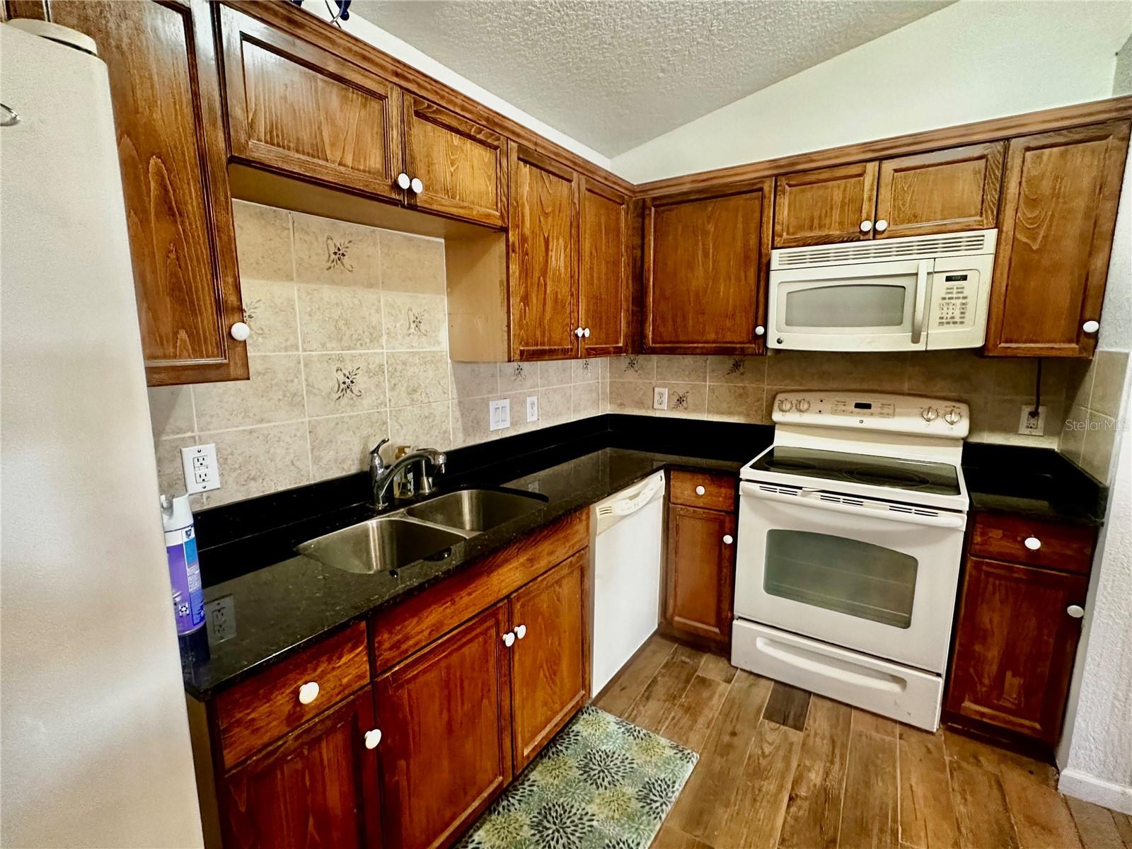 910 W RICH DR, MOUNT DORA, FL, 32757