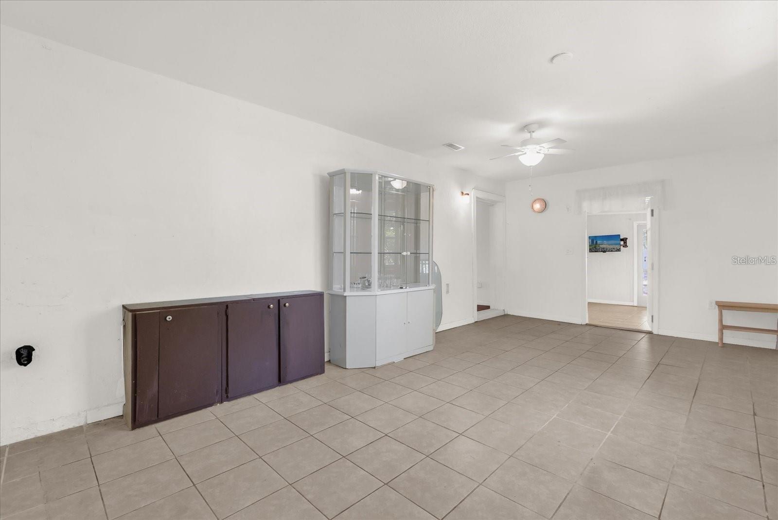 910 W RICH DR, MOUNT DORA, FL, 32757