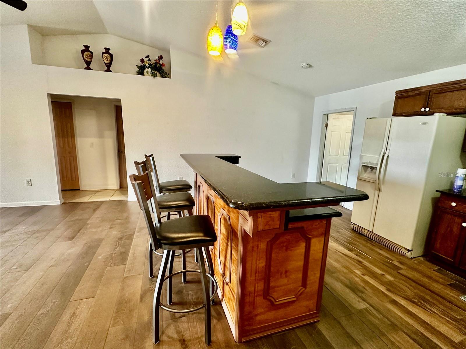910 W RICH DR, MOUNT DORA, FL, 32757