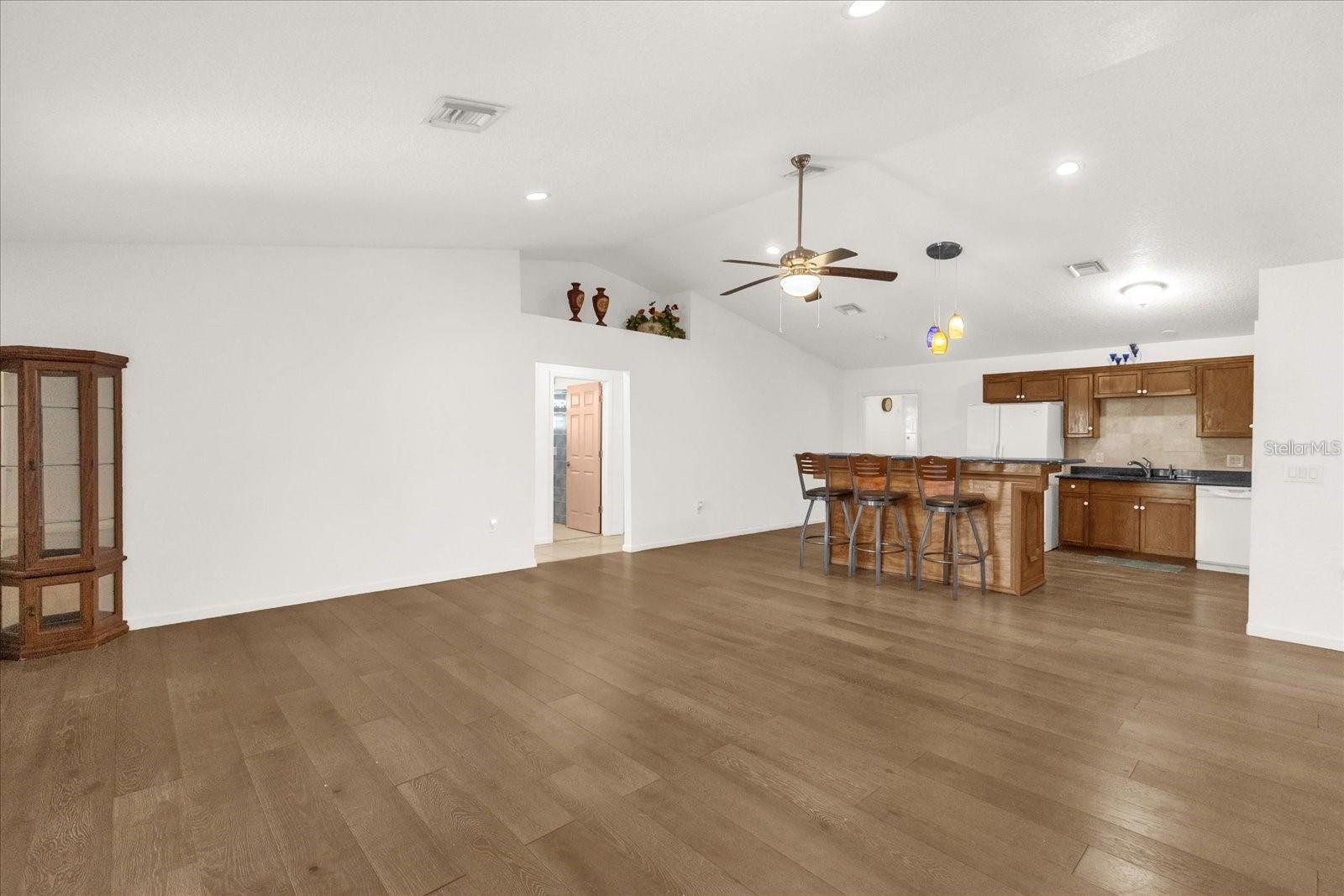 910 W RICH DR, MOUNT DORA, FL, 32757