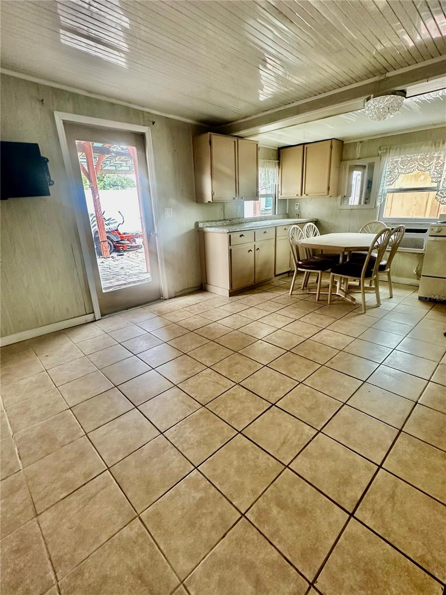 910 W RICH DR, MOUNT DORA, FL, 32757