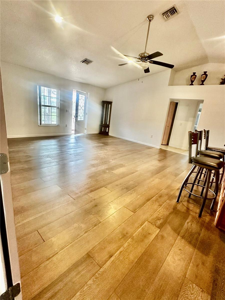 910 W RICH DR, MOUNT DORA, FL, 32757