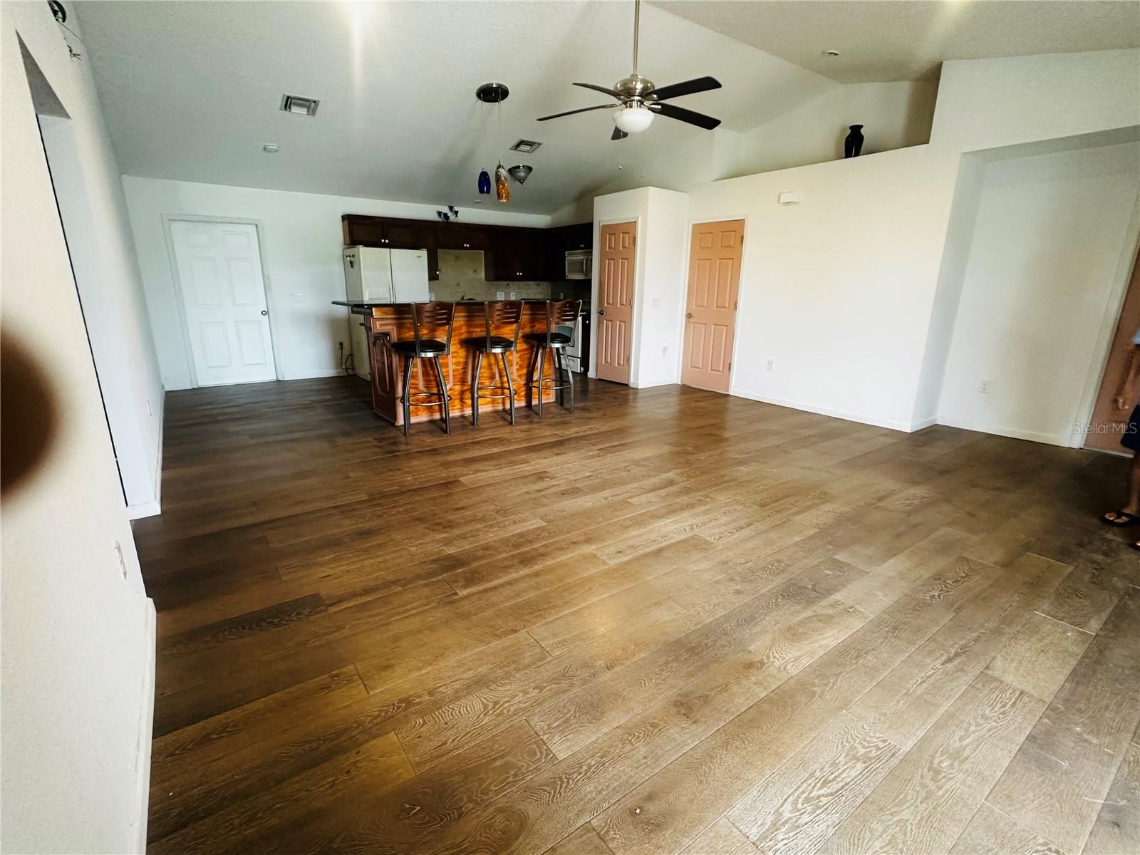 910 W RICH DR, MOUNT DORA, FL, 32757