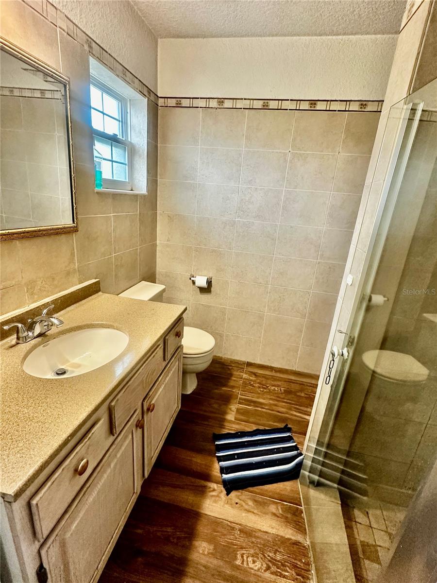 910 W RICH DR, MOUNT DORA, FL, 32757