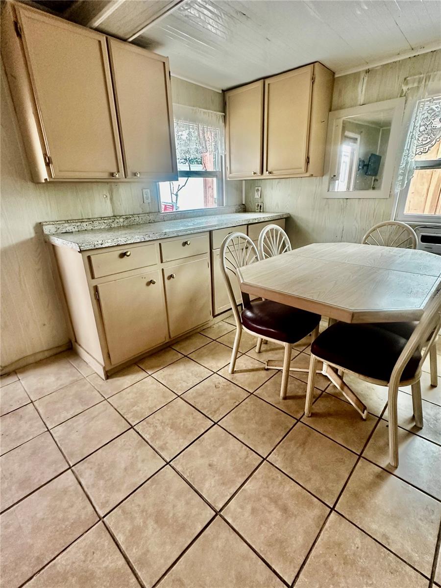 910 W RICH DR, MOUNT DORA, FL, 32757