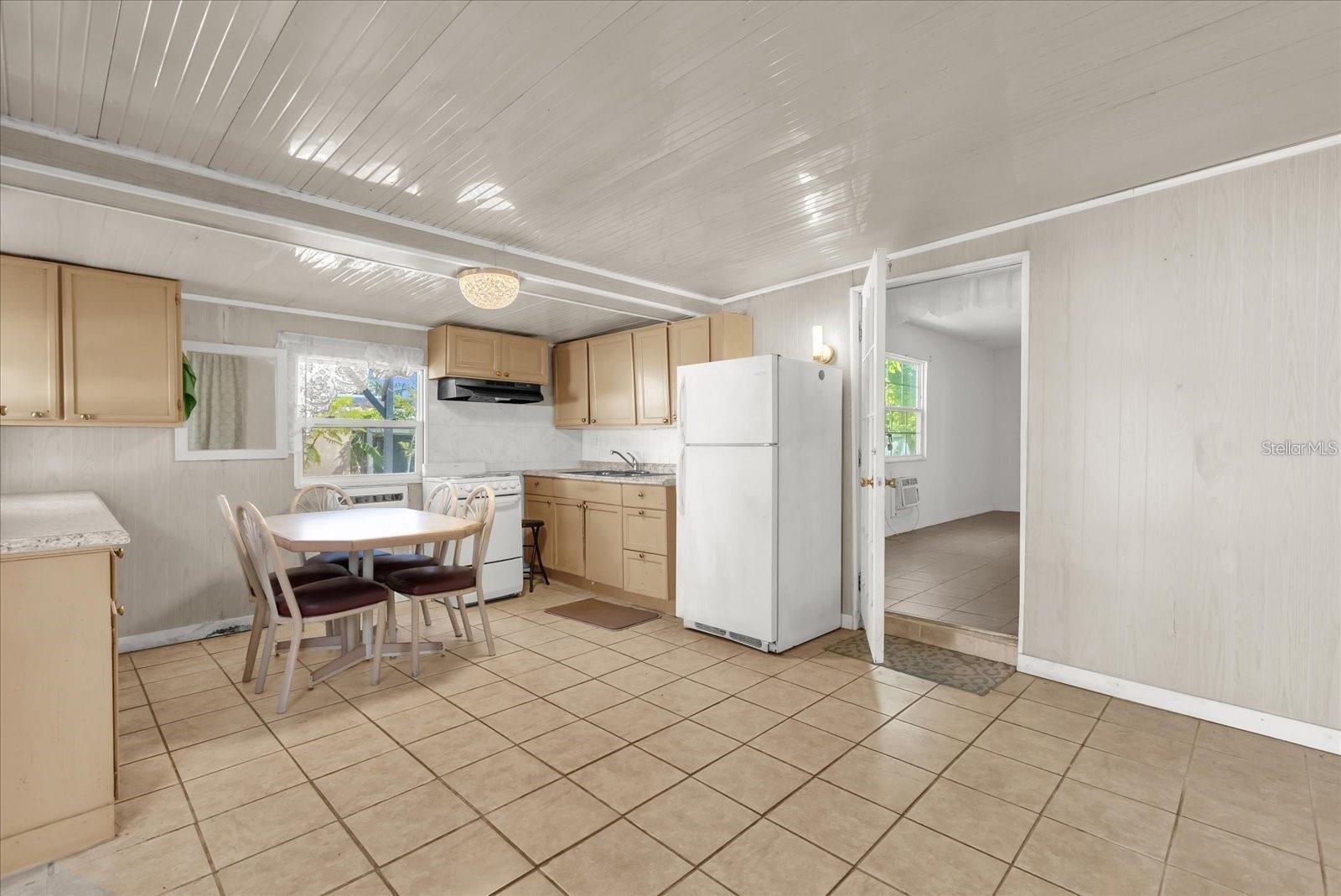 910 W RICH DR, MOUNT DORA, FL, 32757