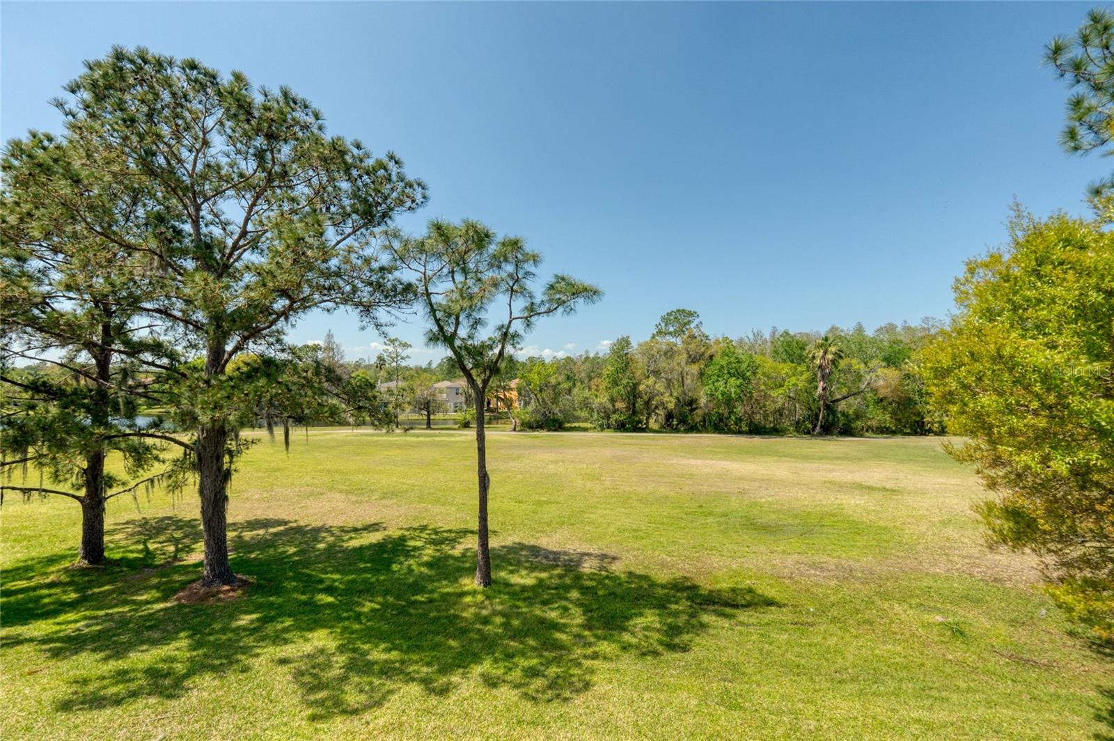 15618 SHOAL CREEK PL, ODESSA, FL, 33556