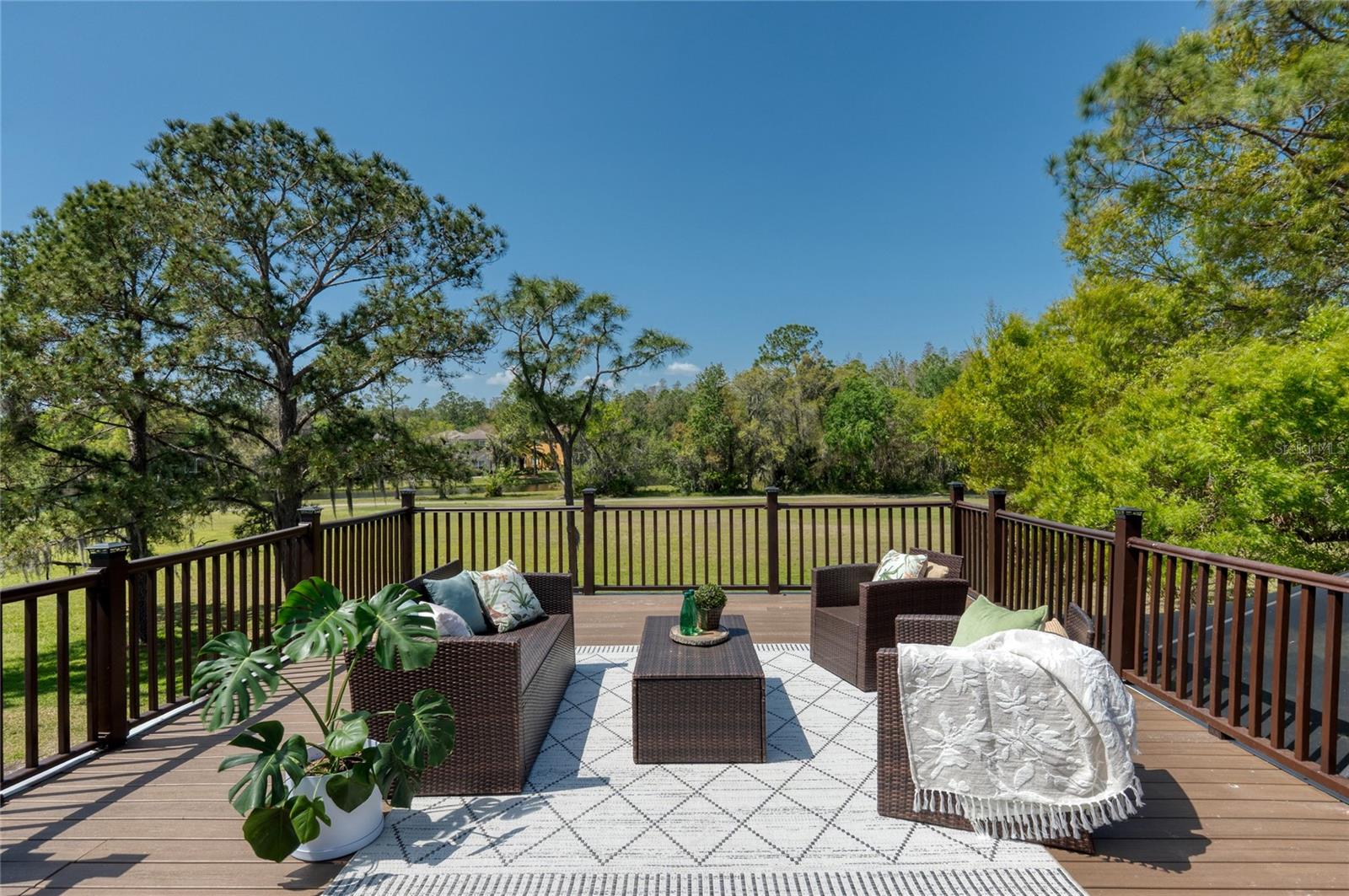 15618 SHOAL CREEK PL, ODESSA, FL, 33556