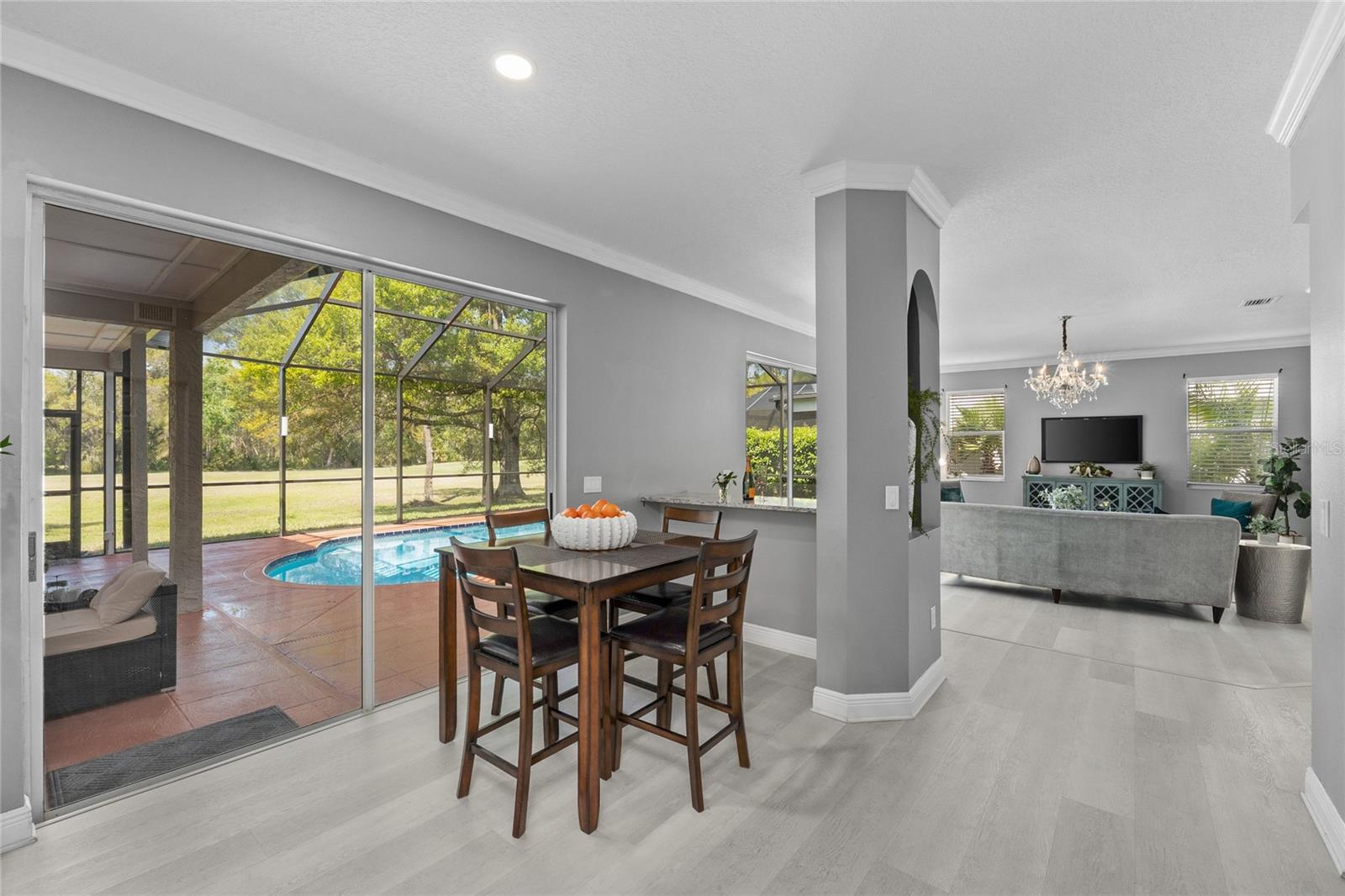 15618 SHOAL CREEK PL, ODESSA, FL, 33556