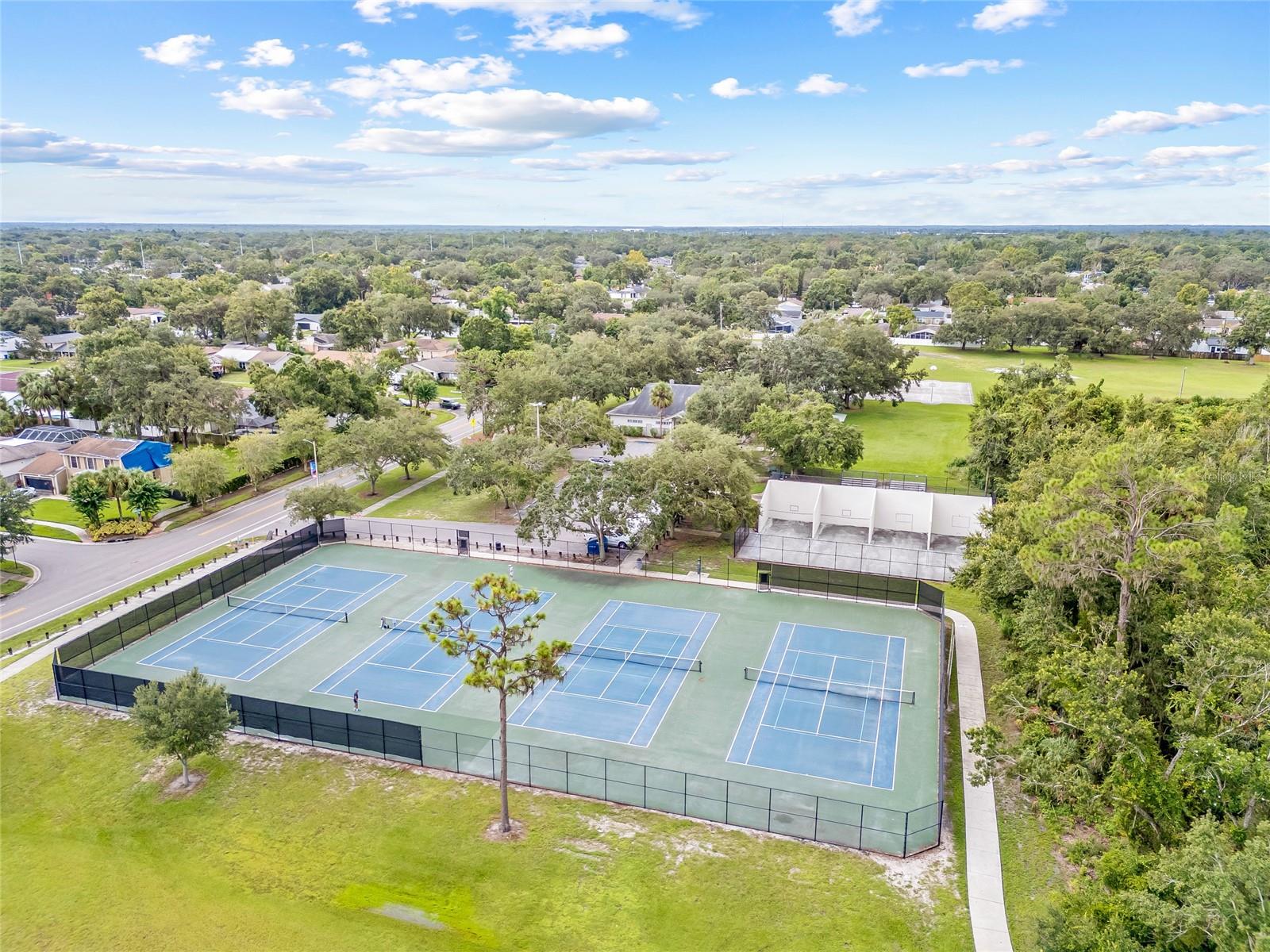 4104 FALLON CT, BRANDON, FL, 33511