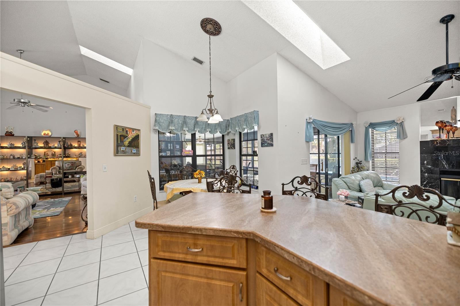 36 SE CHINICA DR, SUMMERFIELD, FL, 34491