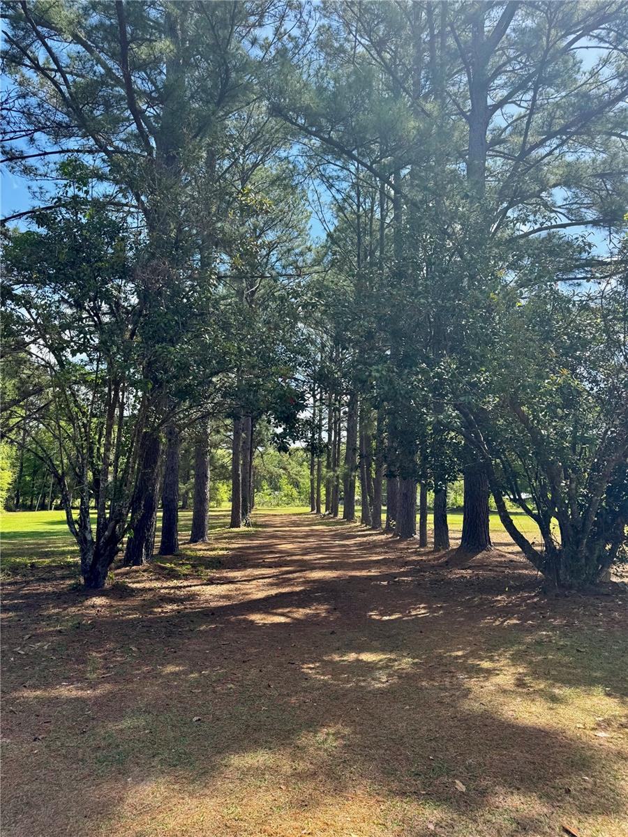 7222 NW 205TH TER, ALACHUA, FL, 32615