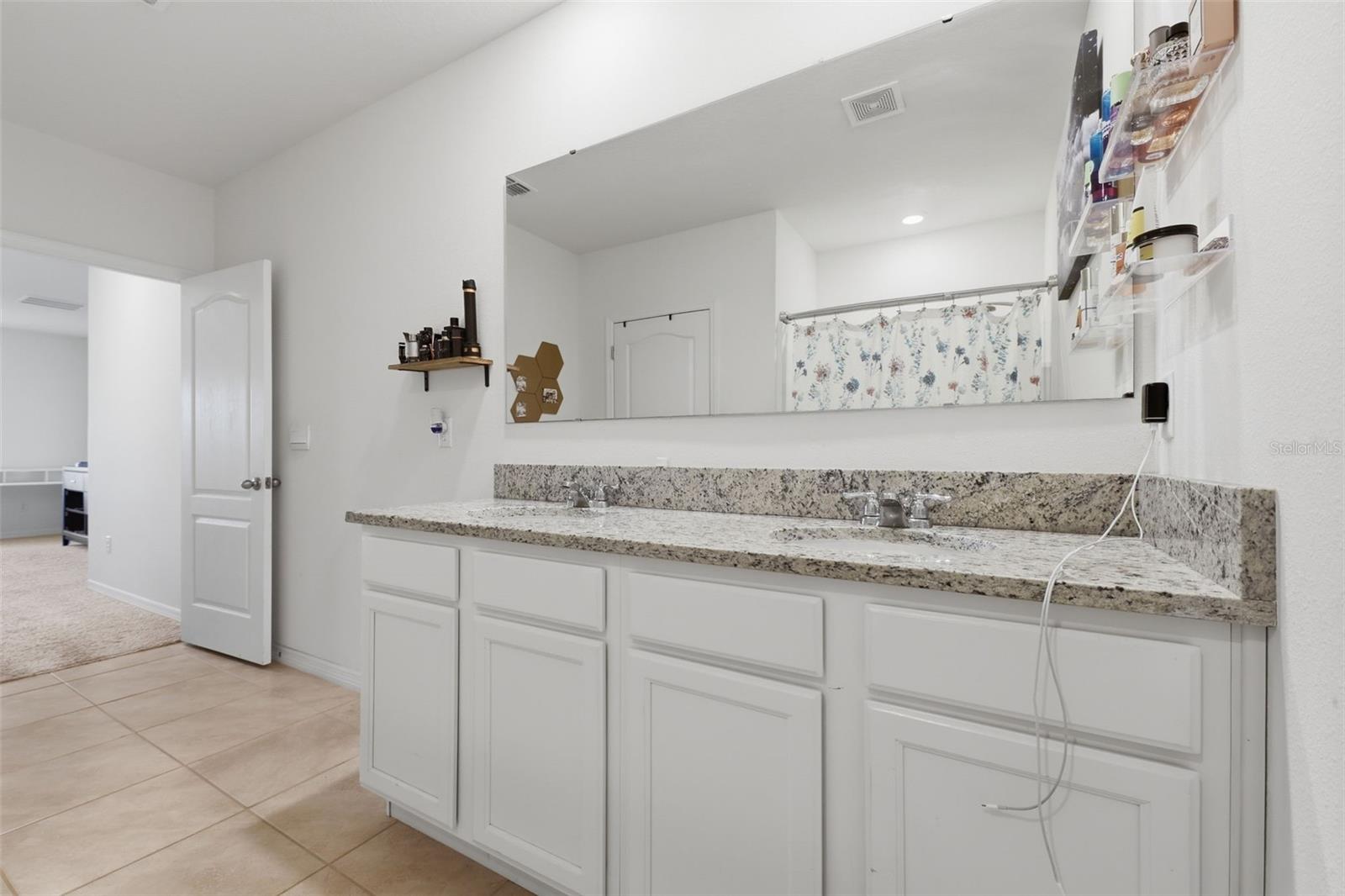 11308 AMBER RIDGE DR, ZELLWOOD, FL, 32798