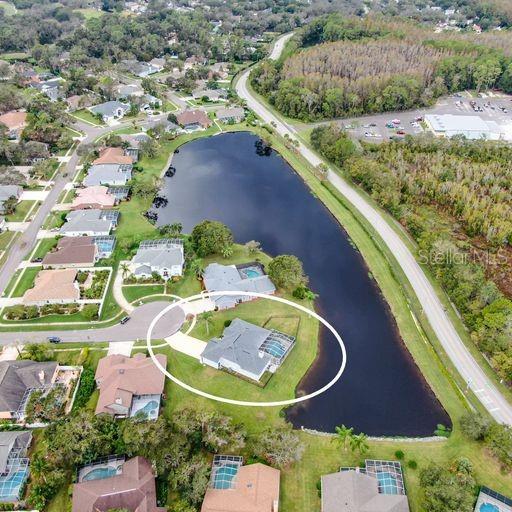 3902 HIDDEN SPRING PL, VALRICO, FL, 33596