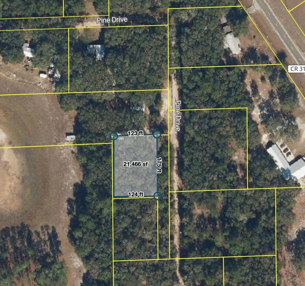 181 PINE DR, INTERLACHEN, FL, 32148