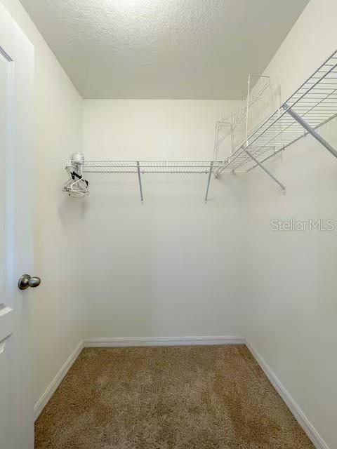 10108 HAWK STORM AVE, TAMPA, FL, 33610