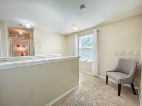 10108 HAWK STORM AVE, TAMPA, FL, 33610