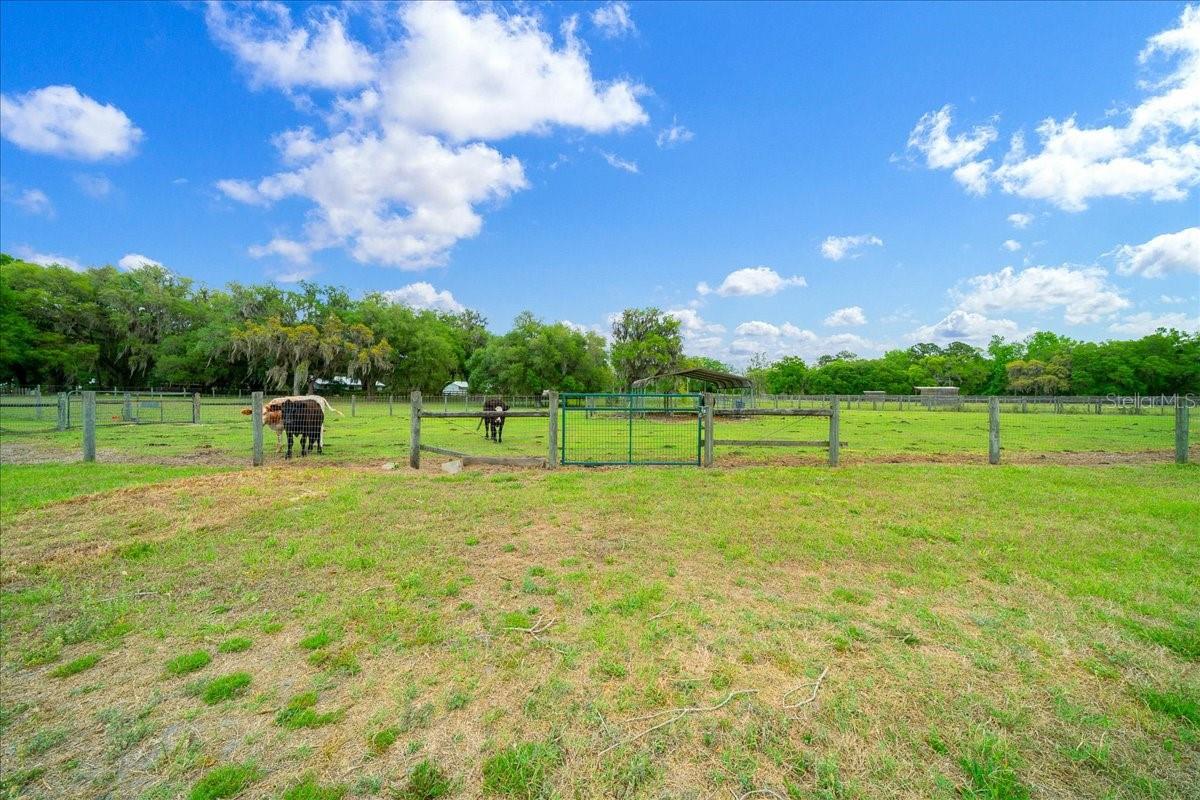 13456 W HIGHWAY 318, WILLISTON, FL, 32696