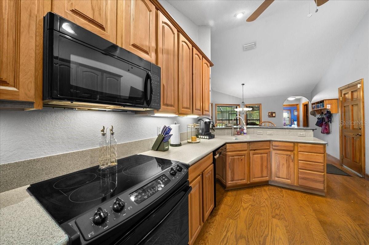 13456 W HIGHWAY 318, WILLISTON, FL, 32696