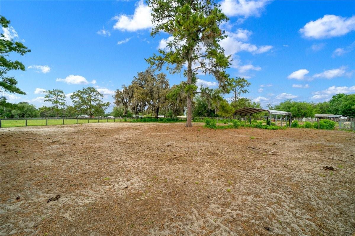 13456 W HIGHWAY 318, WILLISTON, FL, 32696