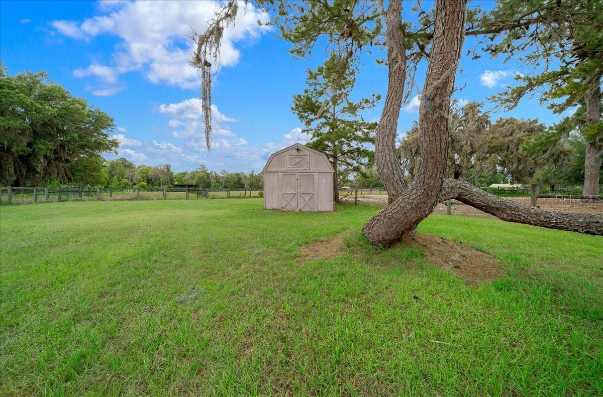 13456 W HIGHWAY 318, WILLISTON, FL, 32696