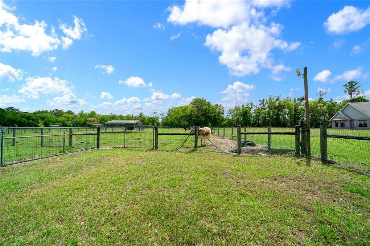 13456 W HIGHWAY 318, WILLISTON, FL, 32696