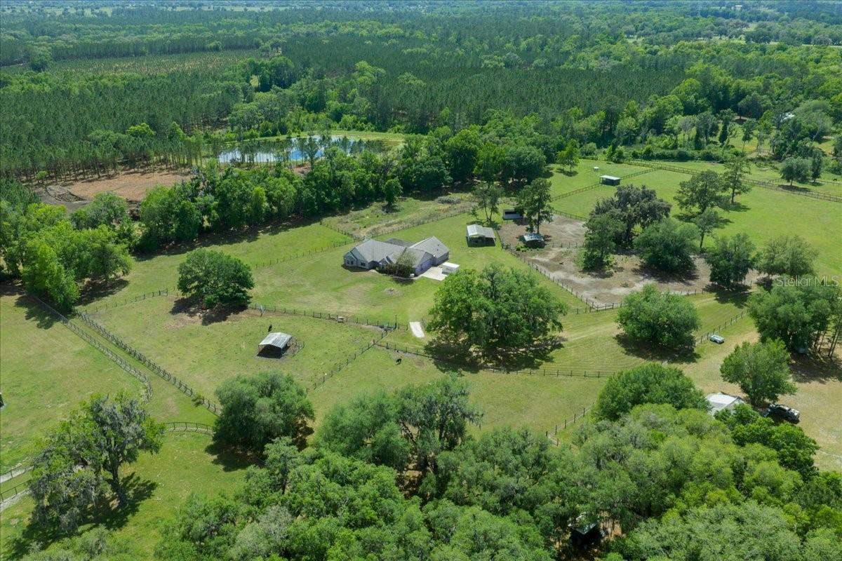 13456 W HIGHWAY 318, WILLISTON, FL, 32696