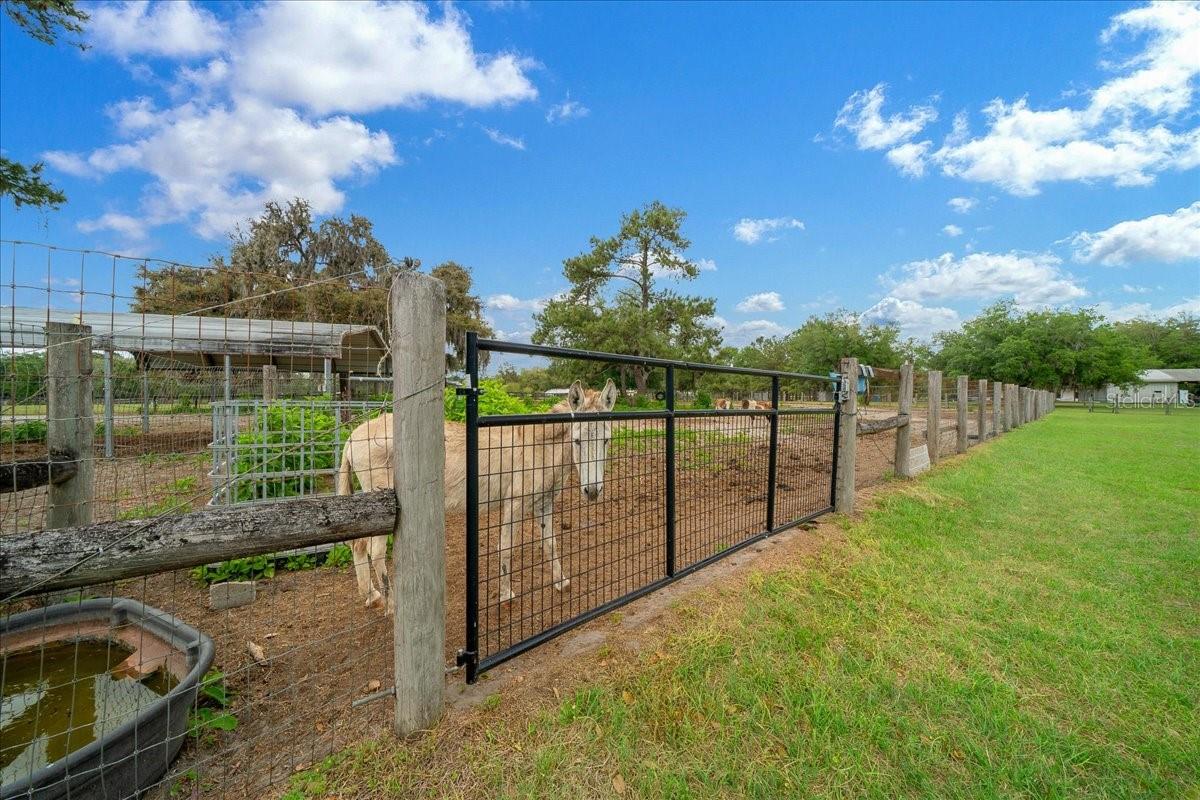 13456 W HIGHWAY 318, WILLISTON, FL, 32696
