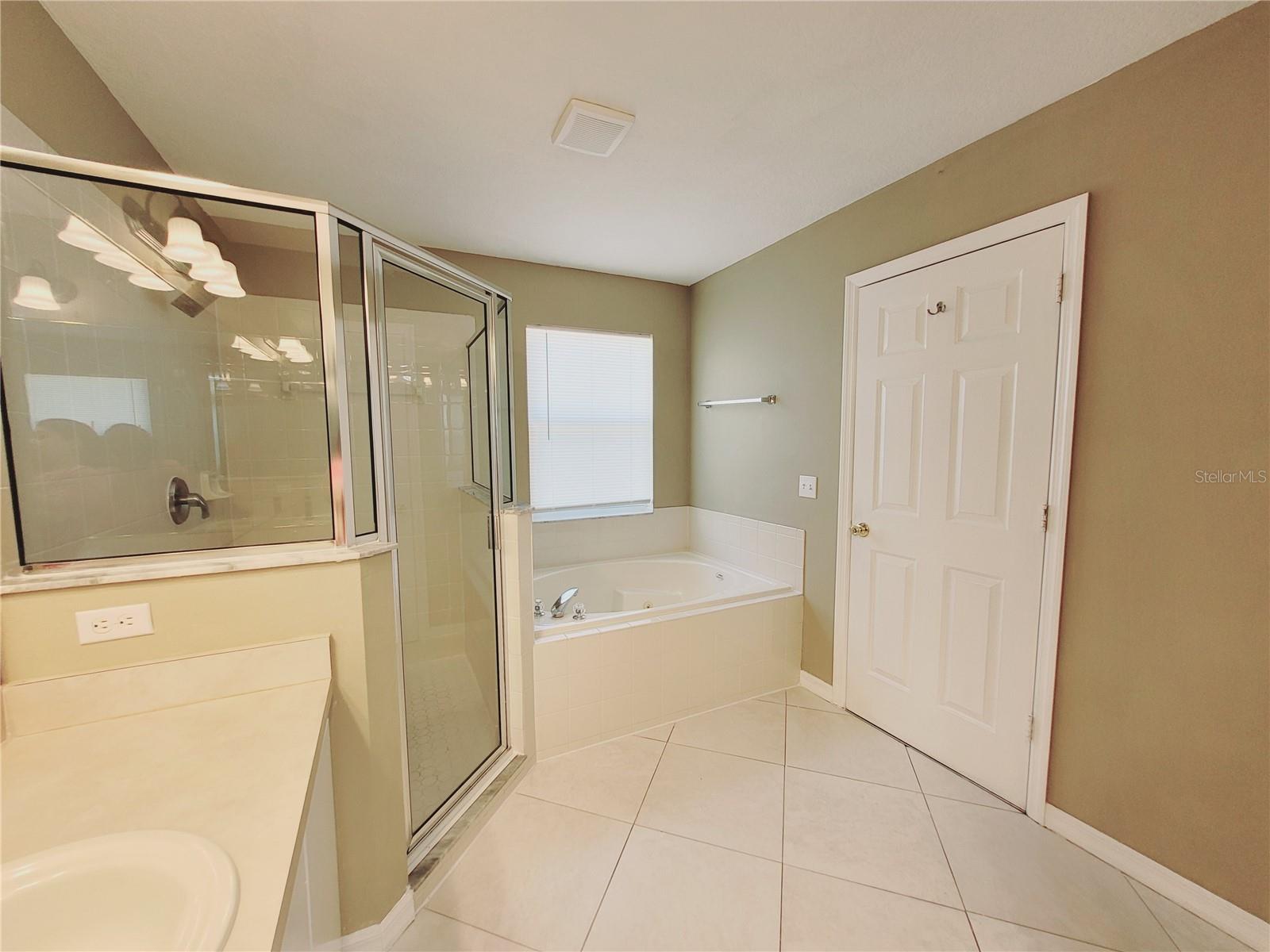 317 AZINCOURT LN, KISSIMMEE, FL, 34759