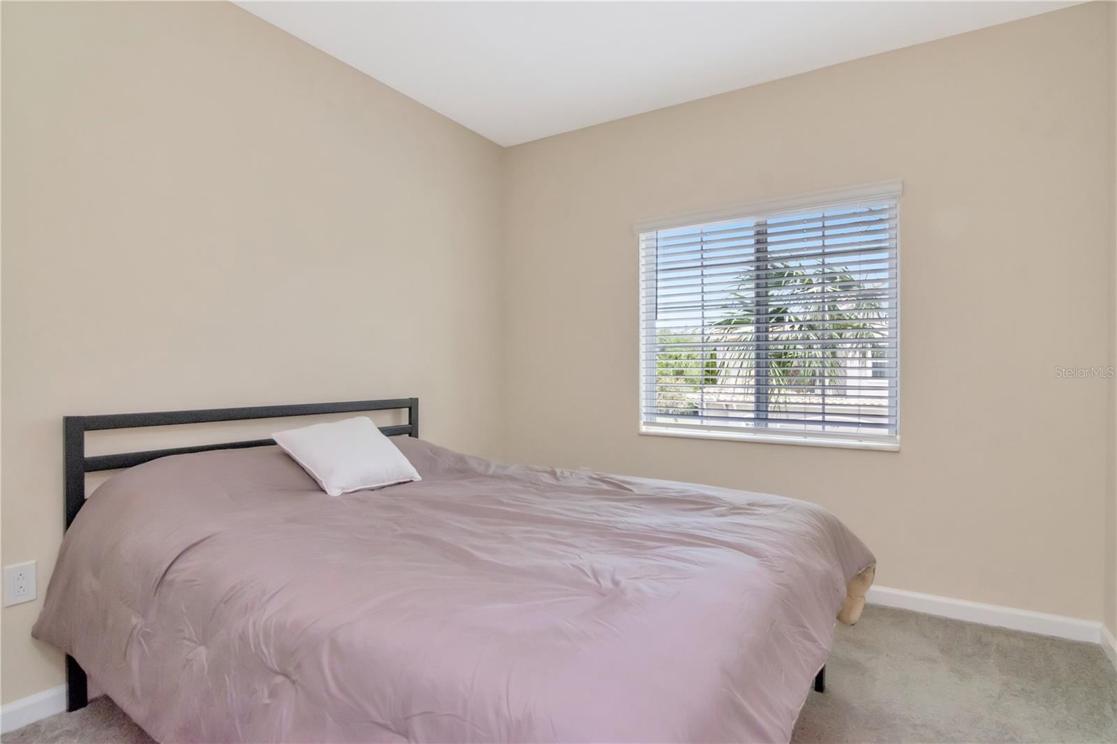 1195 GODAVARI WAY #206, WESLEY CHAPEL, FL, 33543