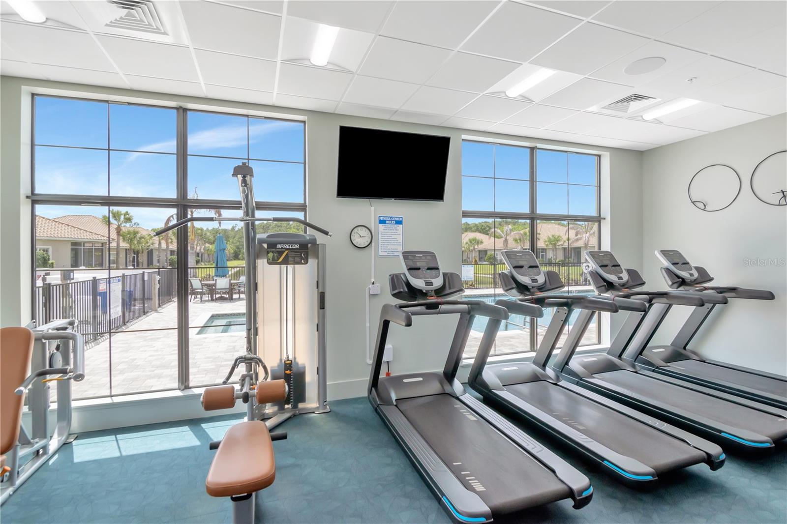 1195 GODAVARI WAY #206, WESLEY CHAPEL, FL, 33543