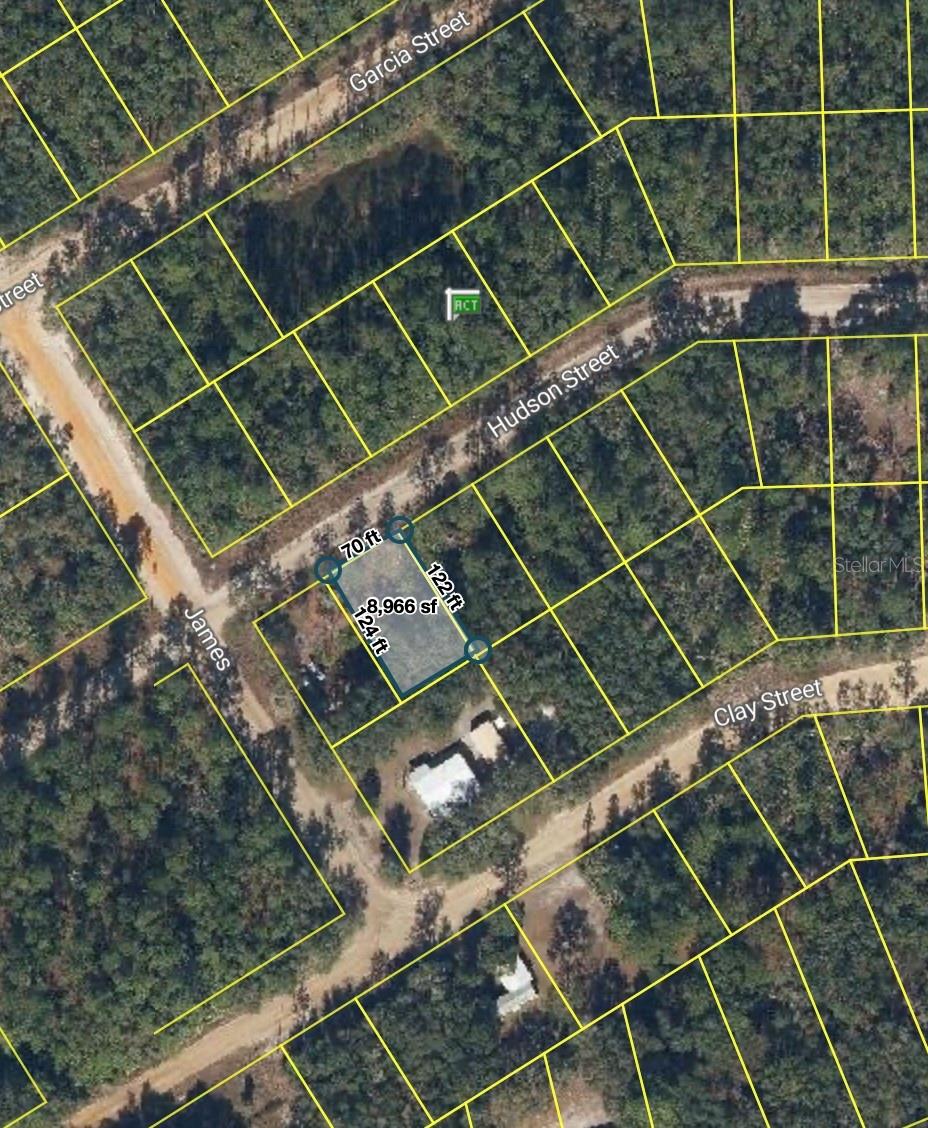 205 HUDSON ST, INTERLACHEN, FL, 32148