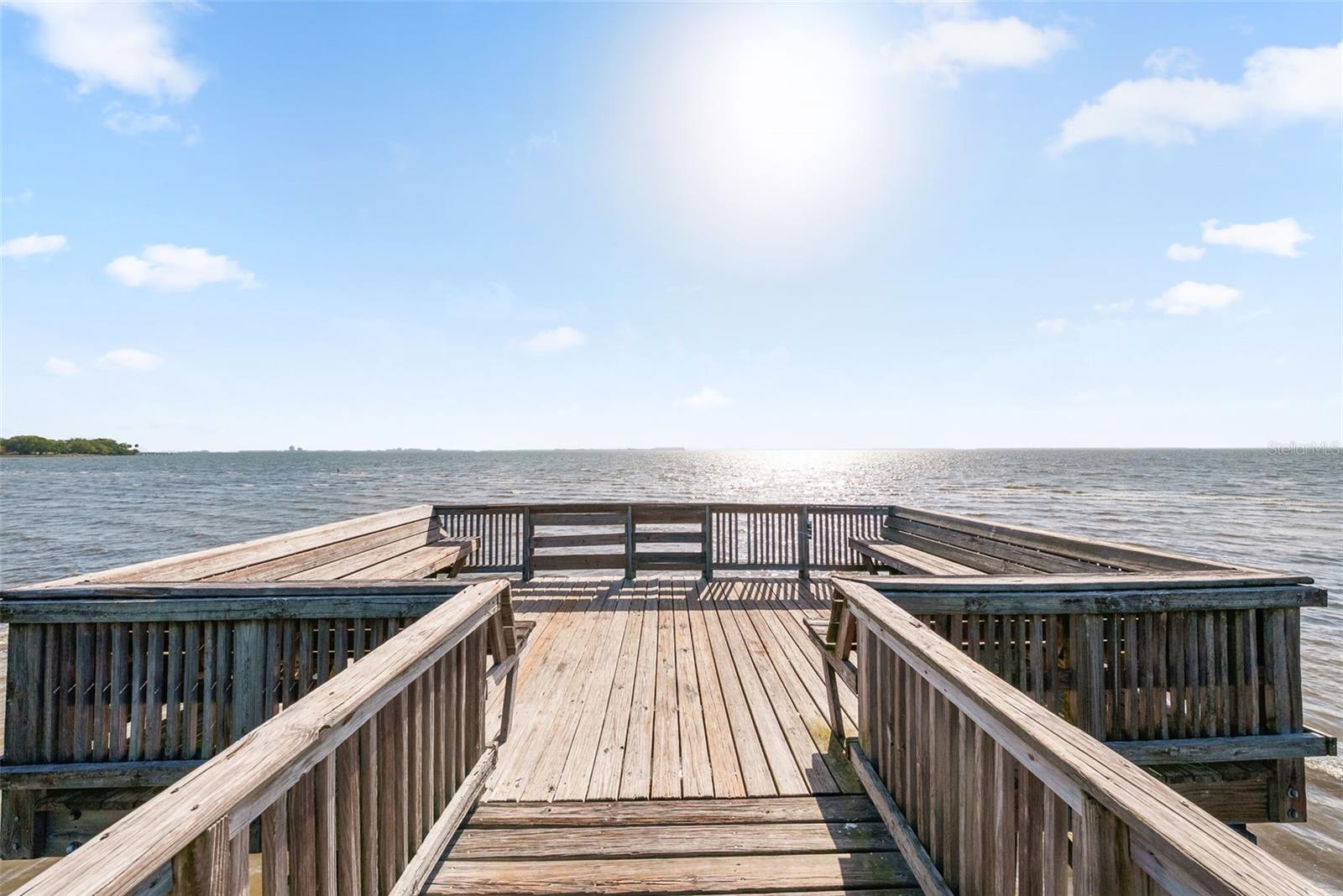 3044 POINTEVIEW DR, TAMPA, FL, 33611