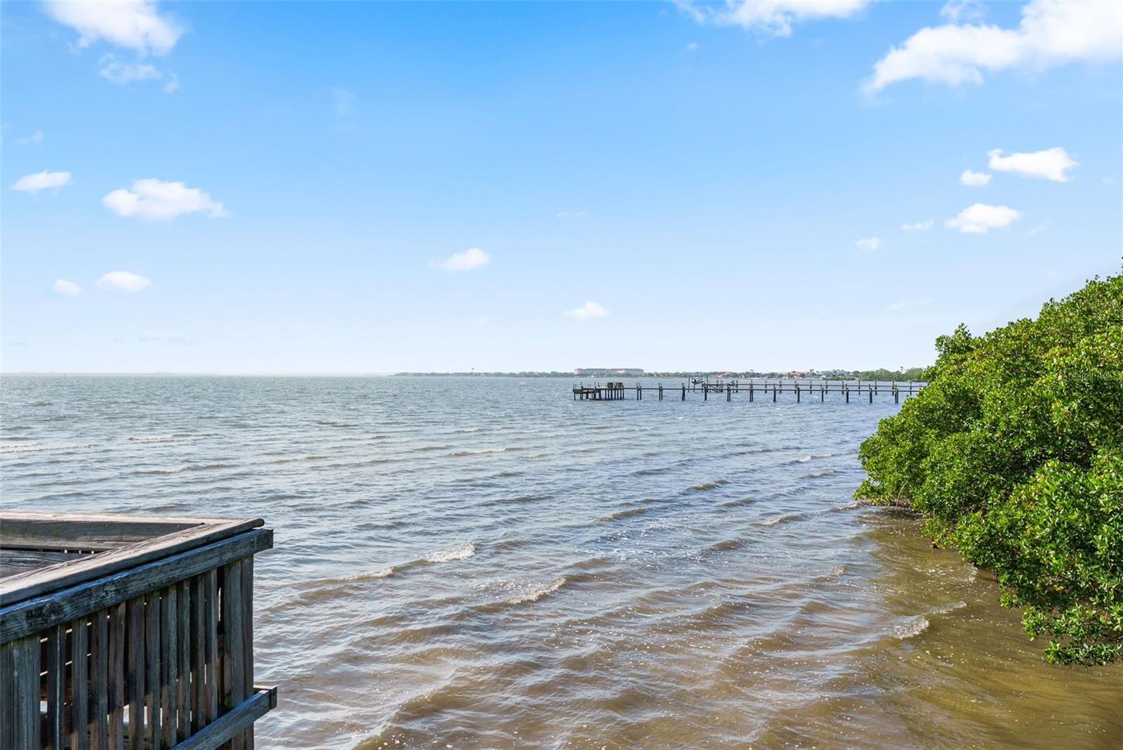 3044 POINTEVIEW DR, TAMPA, FL, 33611