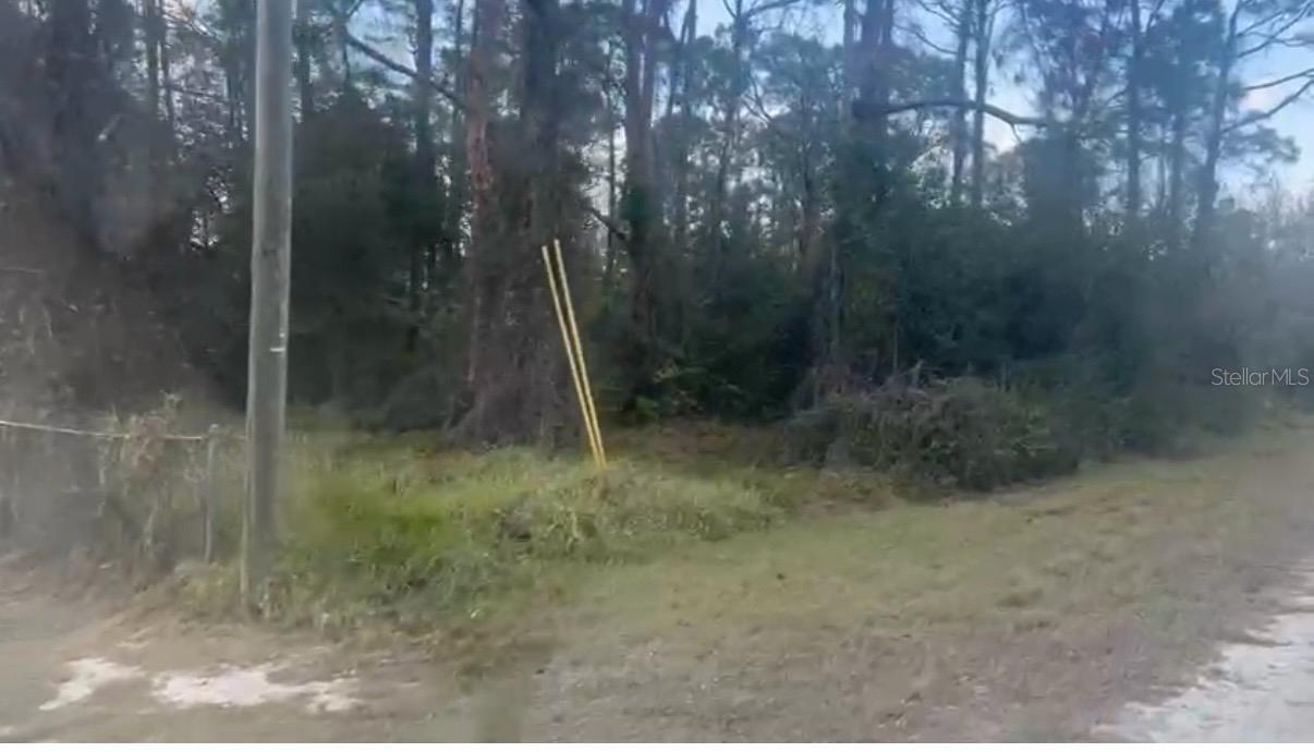 311 WILSON LN NE, LAKE PLACID, FL, 33852