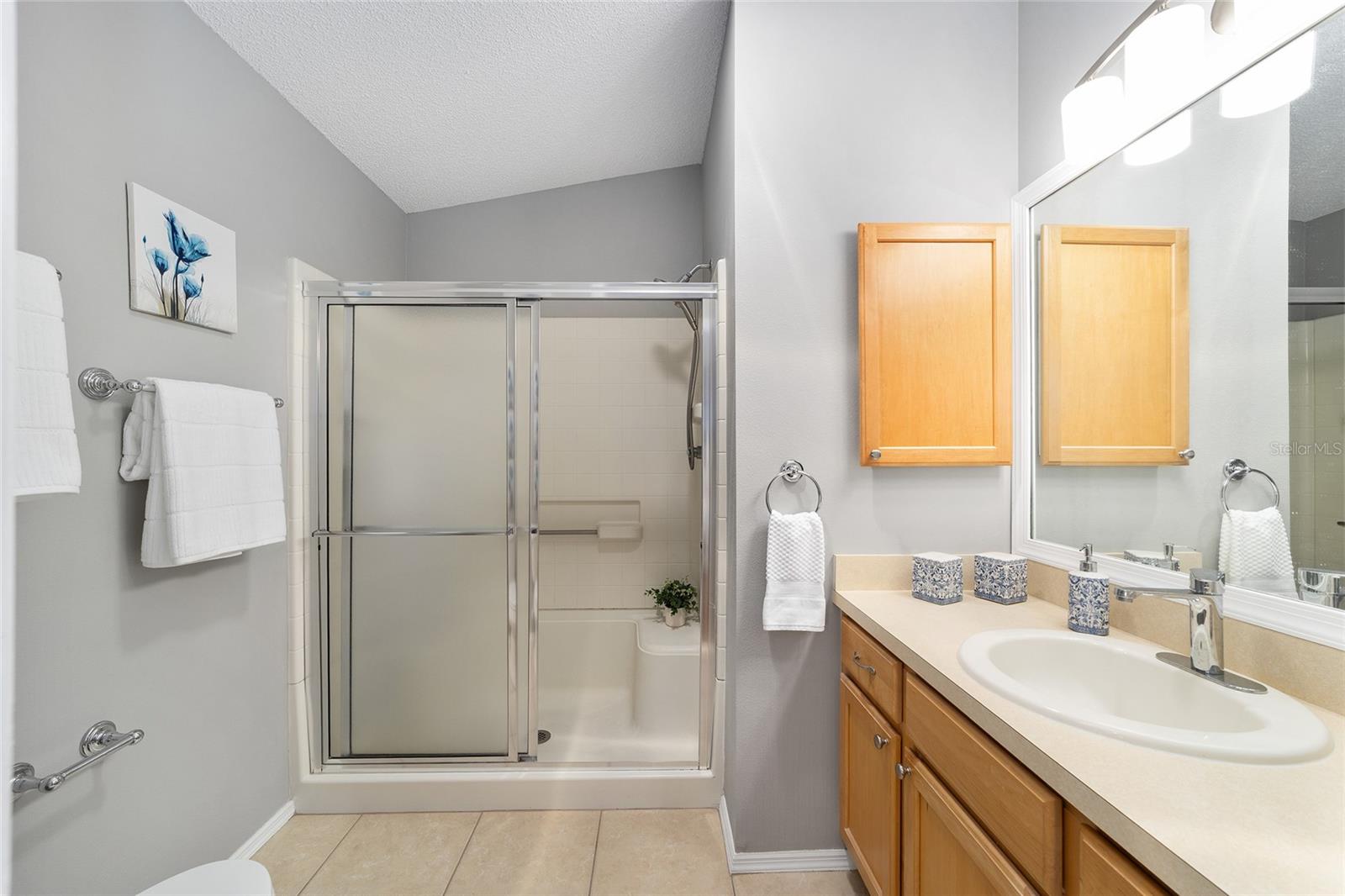 2403 BATON PL, THE VILLAGES, FL, 32162