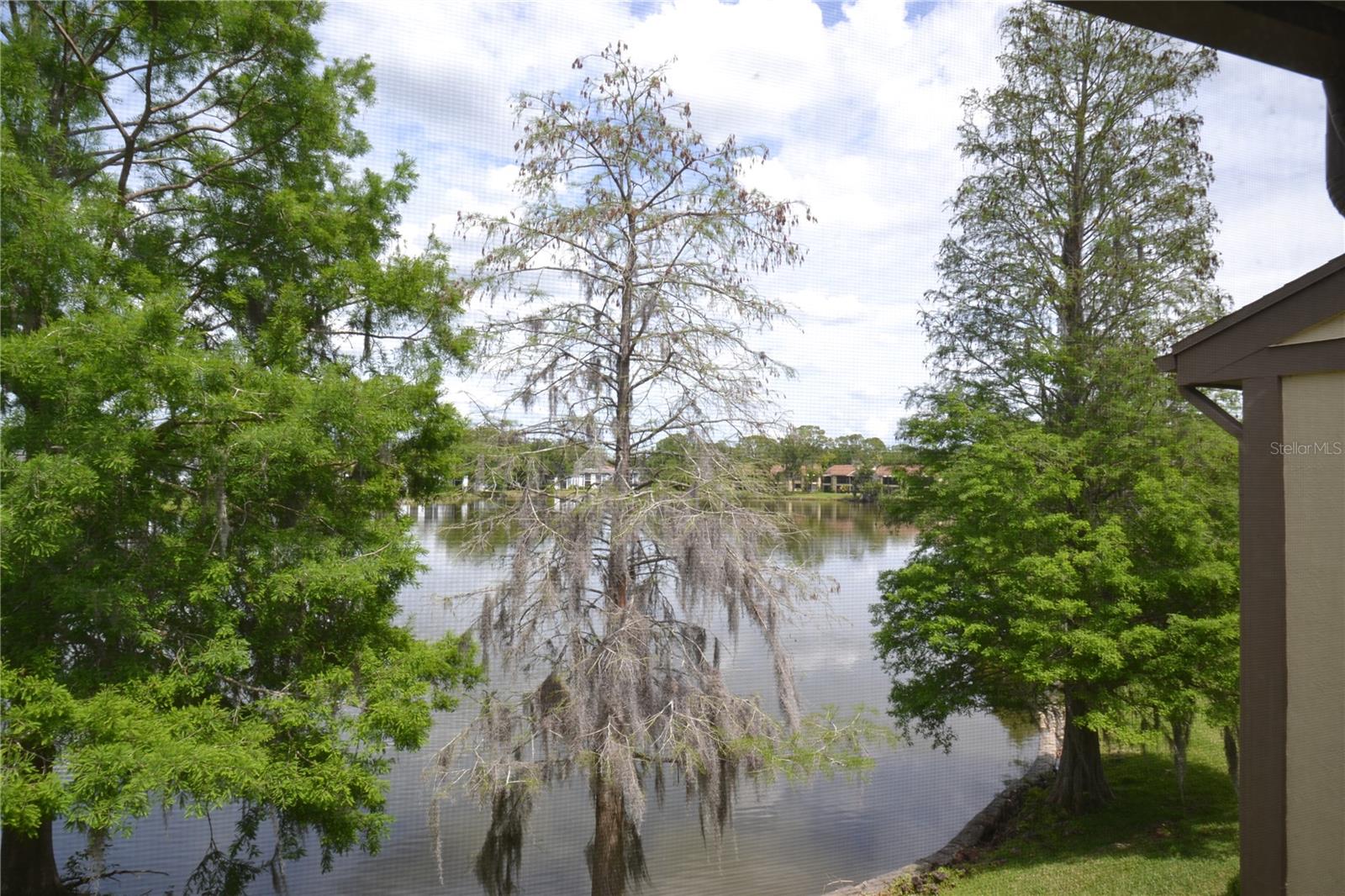 284 WOODLAKE WYNDE, OLDSMAR, FL, 34677