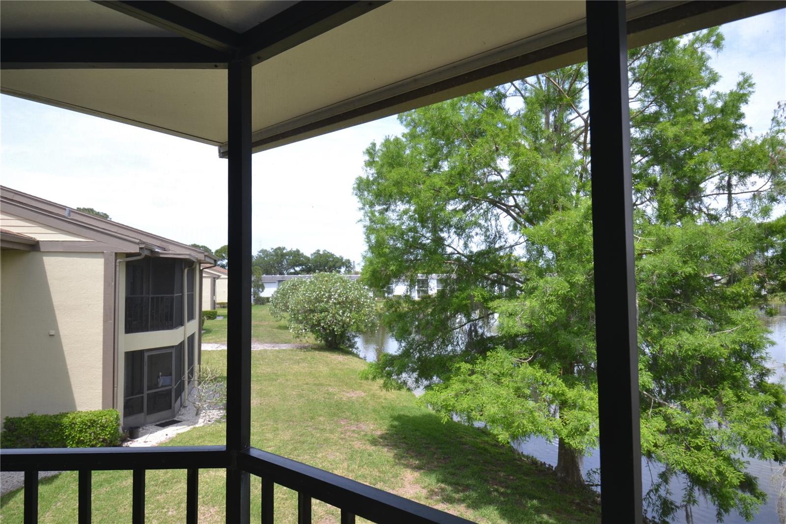 284 WOODLAKE WYNDE, OLDSMAR, FL, 34677
