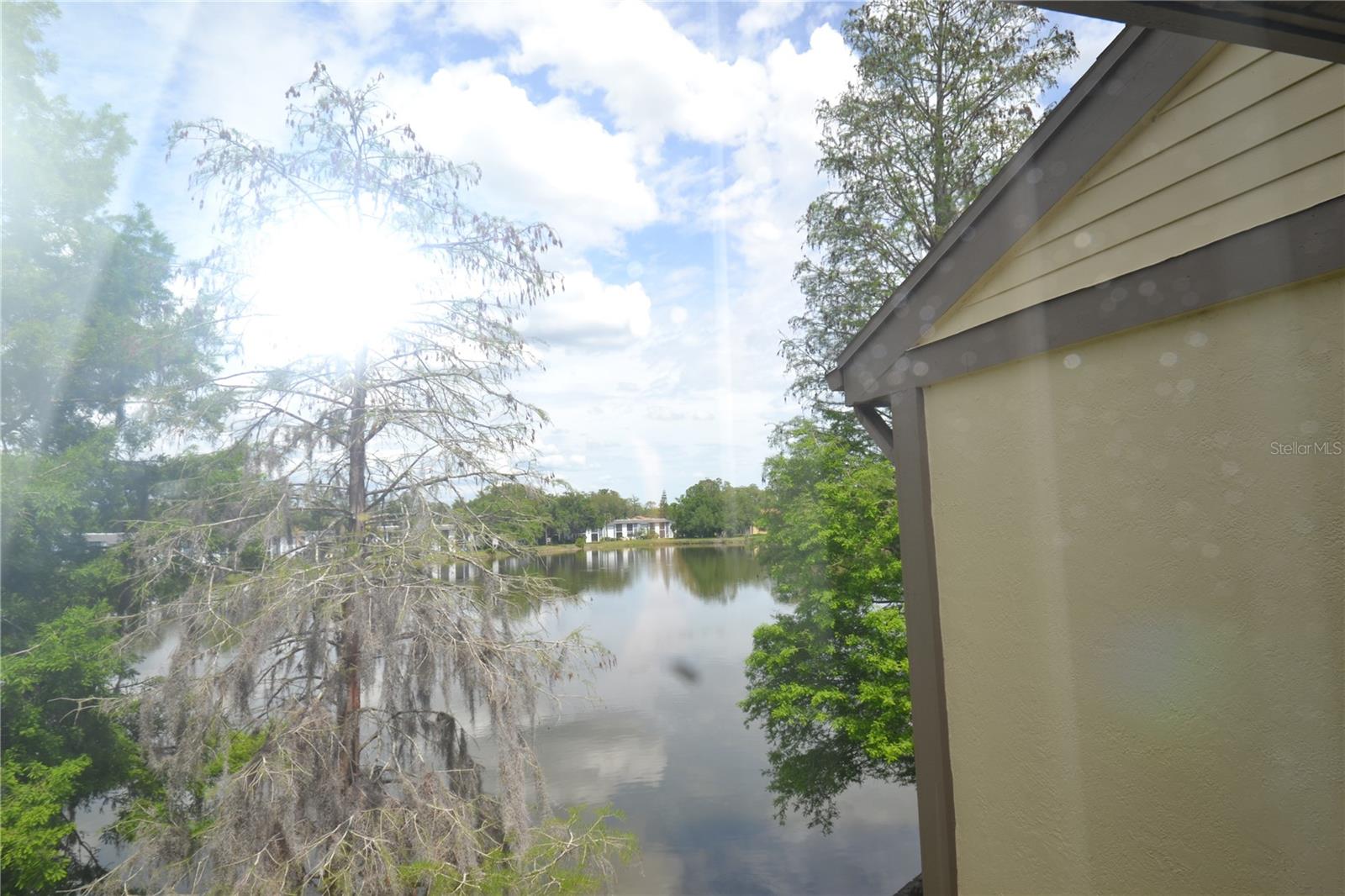 284 WOODLAKE WYNDE, OLDSMAR, FL, 34677