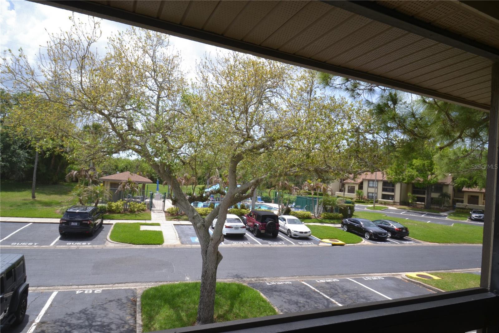 284 WOODLAKE WYNDE, OLDSMAR, FL, 34677