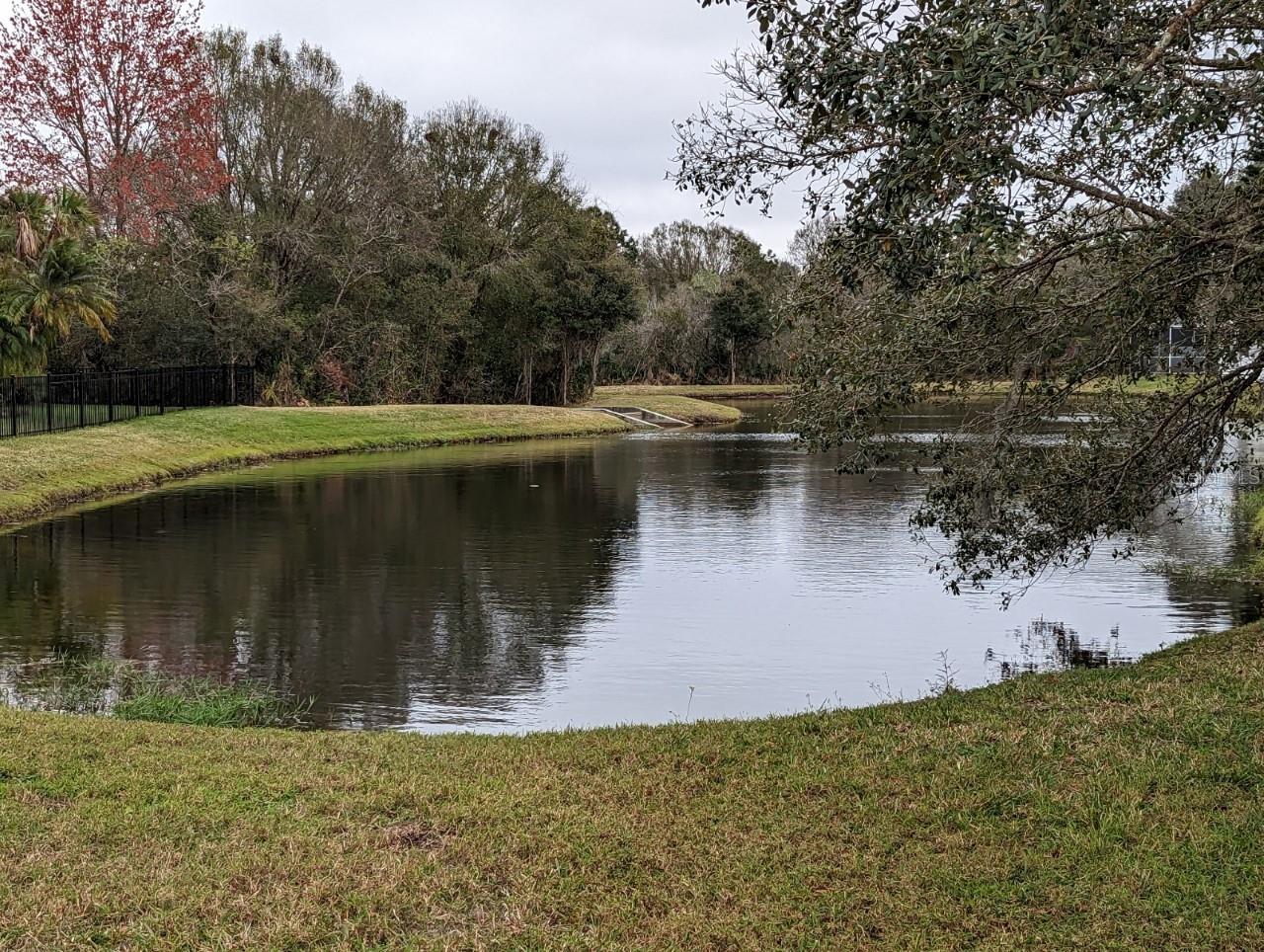 8336 TORRINGTON AVE, TAMPA, FL, 33647