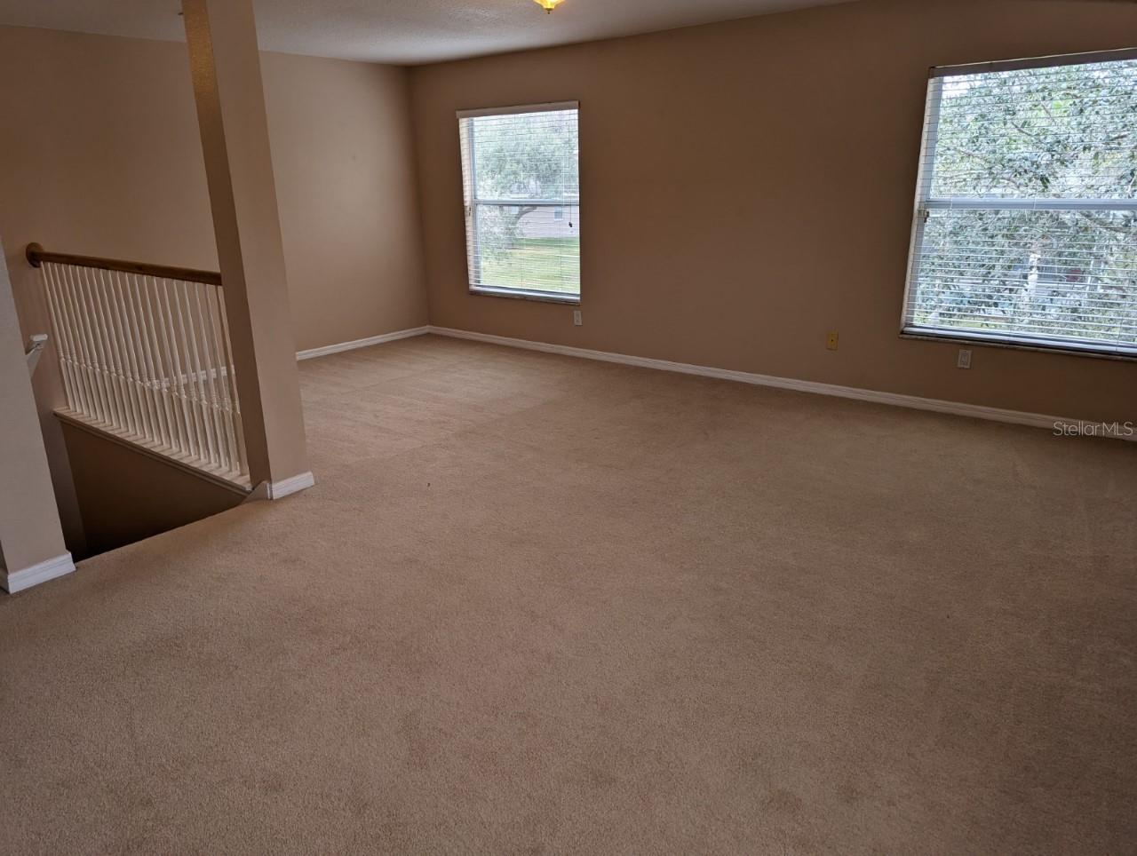 8336 TORRINGTON AVE, TAMPA, FL, 33647