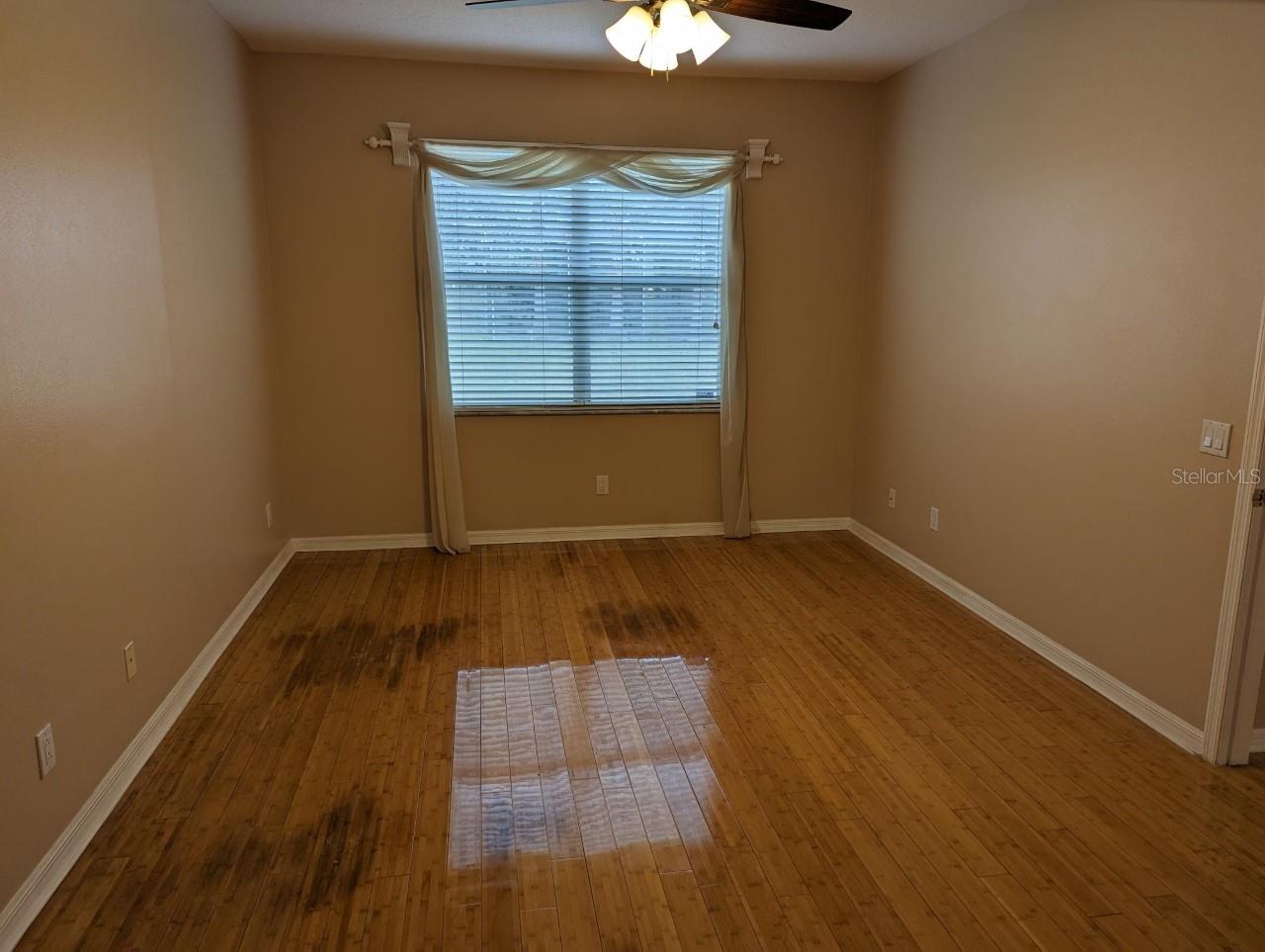 8336 TORRINGTON AVE, TAMPA, FL, 33647