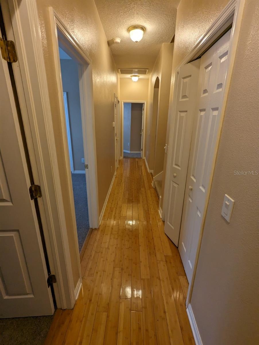 8336 TORRINGTON AVE, TAMPA, FL, 33647