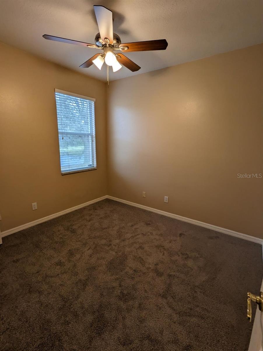 8336 TORRINGTON AVE, TAMPA, FL, 33647