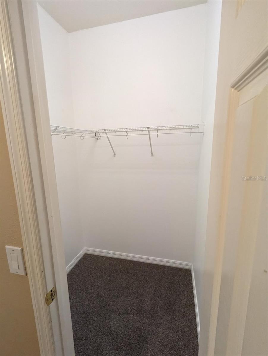 8336 TORRINGTON AVE, TAMPA, FL, 33647